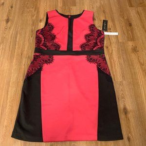 NWT Pink and black dress - 16